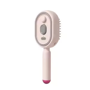 AquaBrush - Brosse Brumisateur & Massage